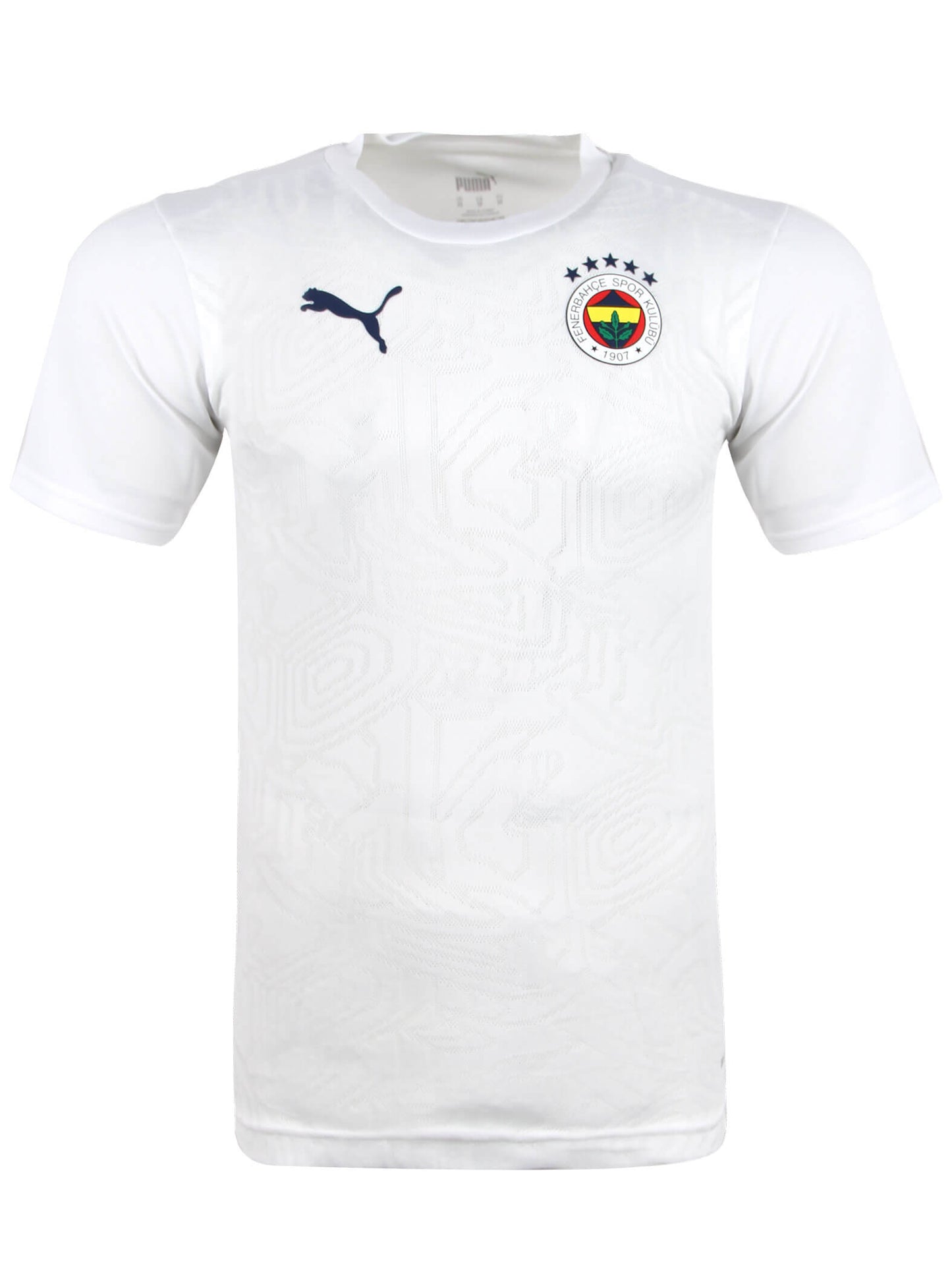 Fenerbahçe Istanbul Auswärtstrikot 2024/2025
