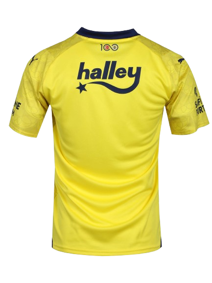 Fenerbahçe Istanbul Auswärtstrikot 2024/2025