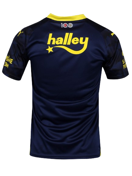Fenerbahçe Istanbul Drittes Trikot 2024/2025