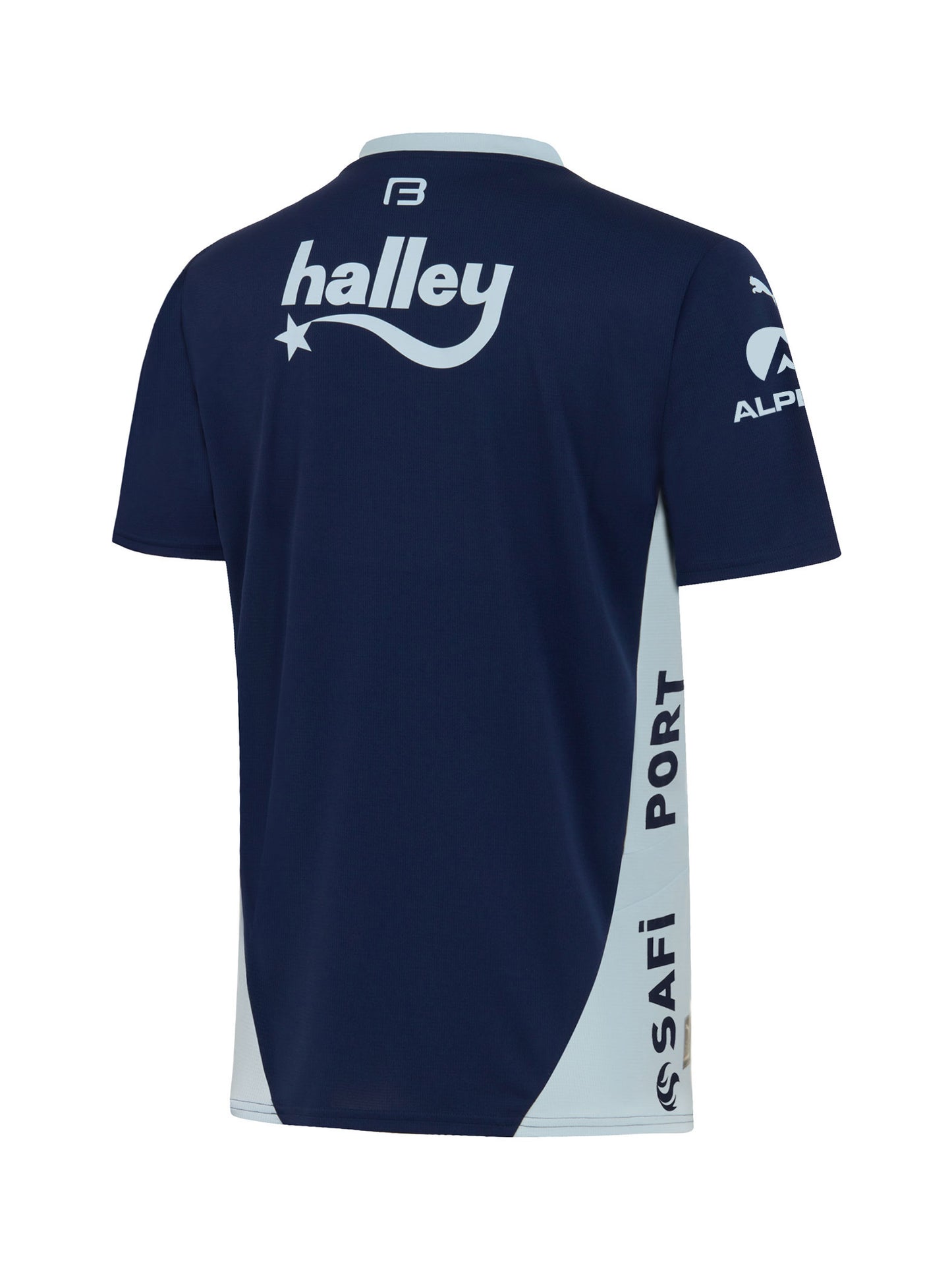 Fenerbahçe Istanbul Ausweichtrikot 2024/2025