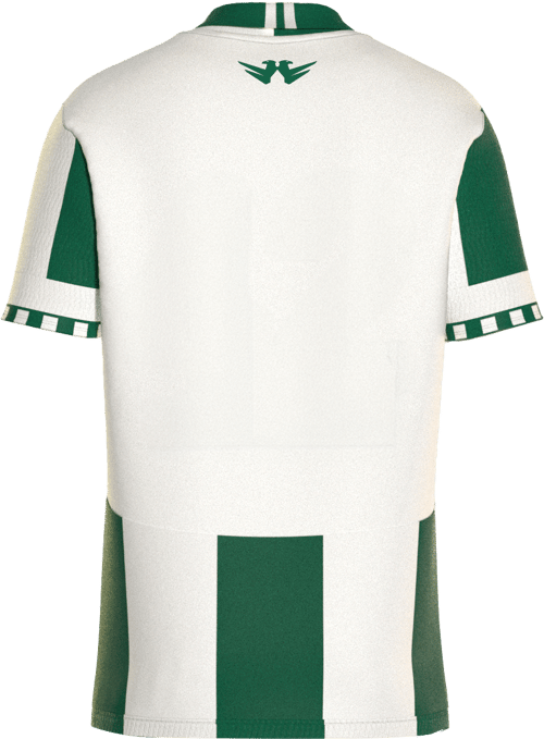 Konyaspor 24/25 Heimtrikot