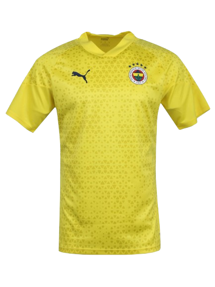 Fenerbahçe Istanbul Auswärtstrikot 2024/2025