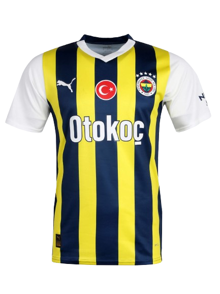 Fenerbahçe Istanbul Jubiläumstrikot 2024/2025